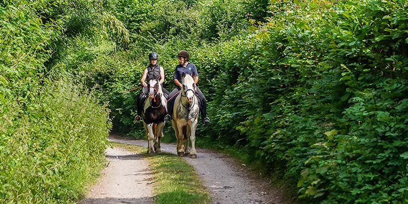 Pony Trekking in the Forest of Dean